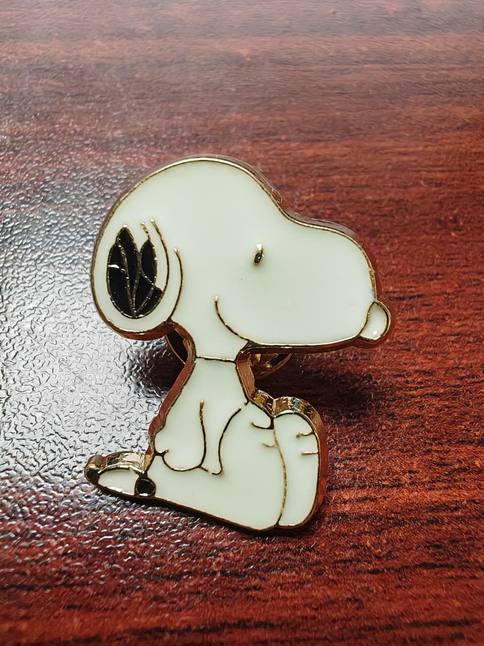 PIN METALICO PARA GORRA