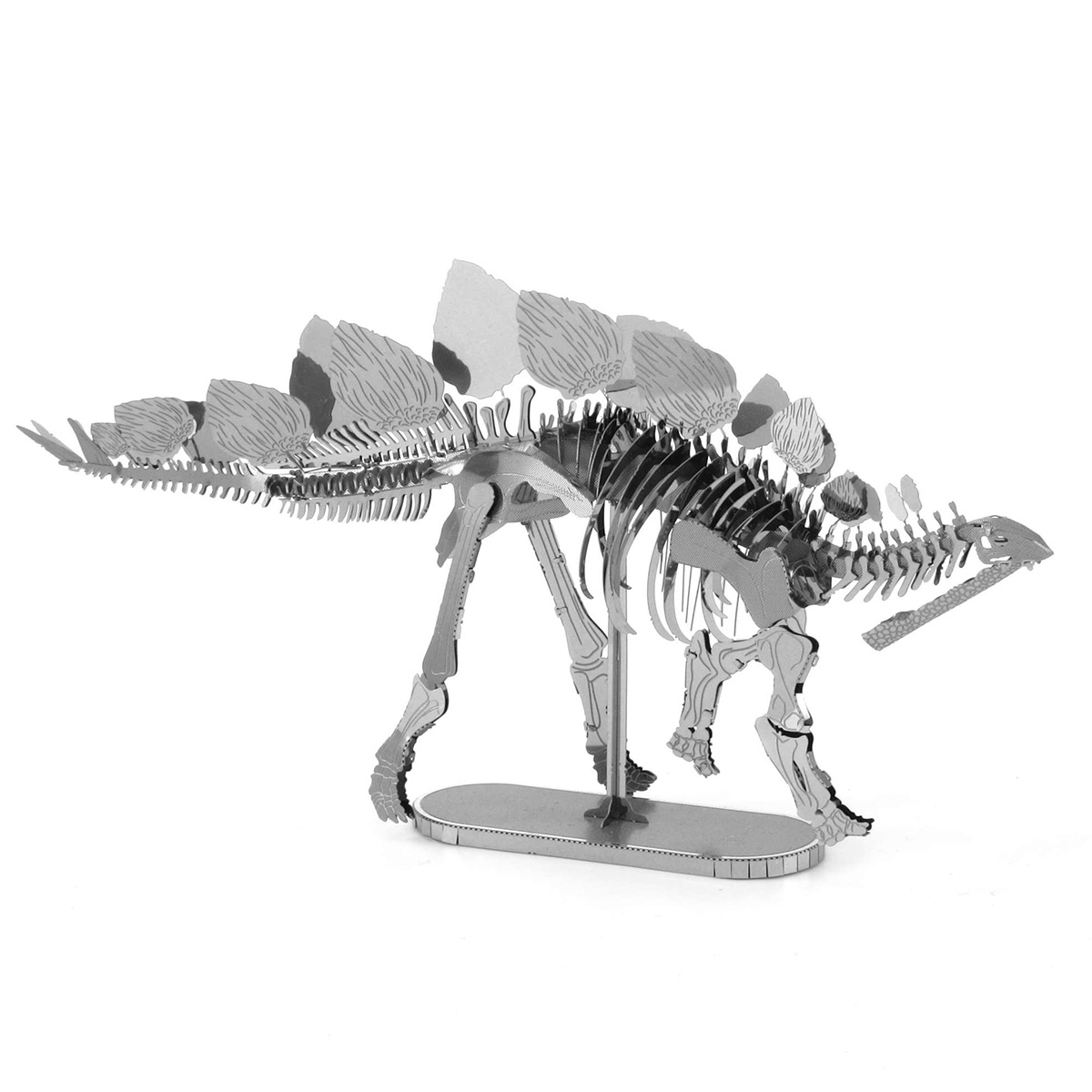 STEGOSAURUS SKELETON