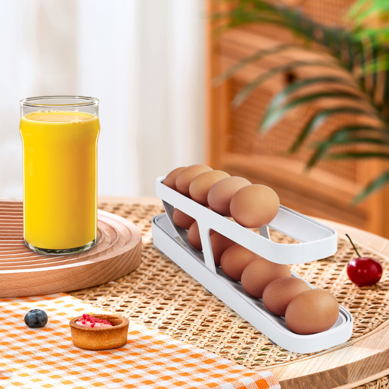 ORGANIZADOR DE HUEVOS 